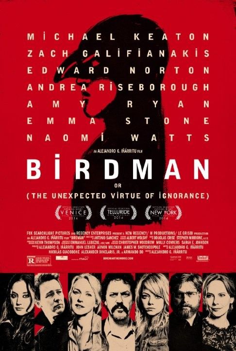 [鸟人/捕鸟者/飞鸟侠]Birdman.2014.1080p.BluRay.x264.DTS-SPARKS 8.73G