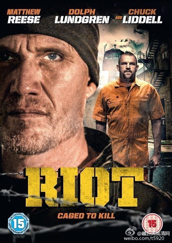 [暴动]Riot.2015.PROPER.1080p.BluRay.x264.DTS-ROVERS 6.56G