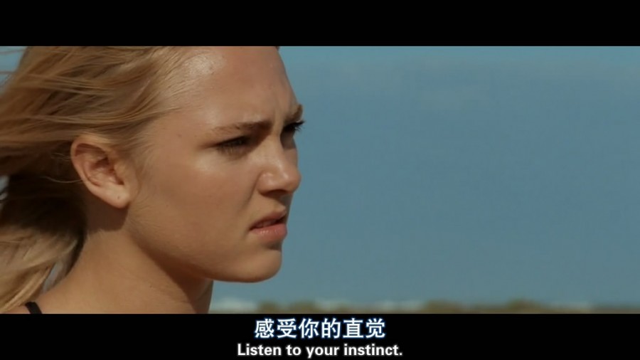 《灵魂冲浪》(Soul Surfer)人人影视出品中英双语字幕[HR-HDTV,RMVB,掌上设备]