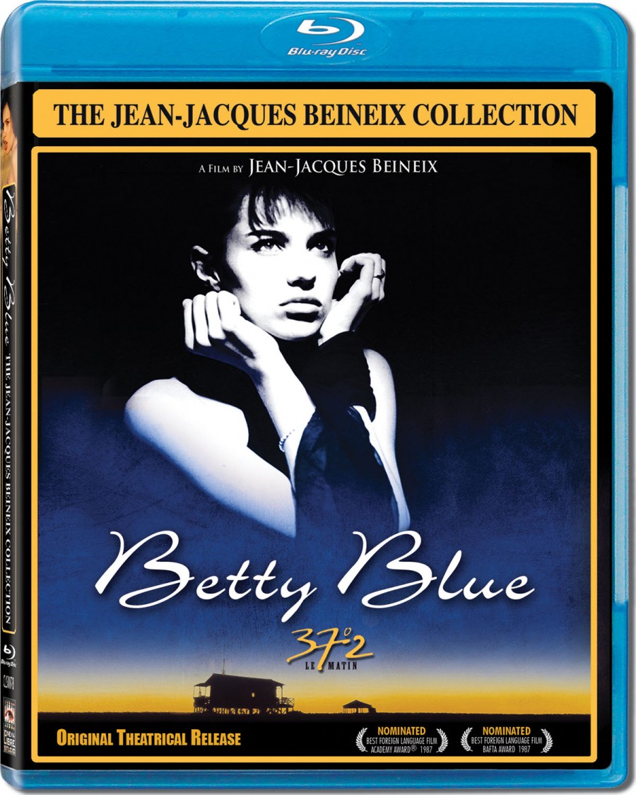 巴黎野玫瑰(导演剪辑未删减版).Betty.Blue.DC.1986.720p.Chi.BD-MP4.中文字幕