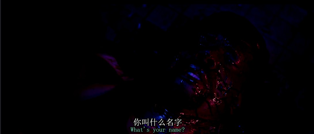 [BT下载][升级][HD-MP4/1.9G][首发精译中英双字][1080P][豆瓣8.1科幻惊悚杀人机器大片]