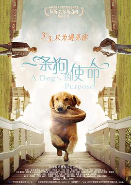 [一条狗的使命][A][Dogs][Purpose][2017][BD1080P][X264][AAC][English&Mandarin][CHS-ENG]