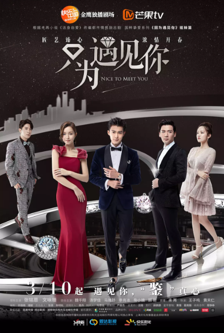 [只为遇见你][EP01-EP28][2019][HD1080P][X264][AAC][Mandarin][CHS]