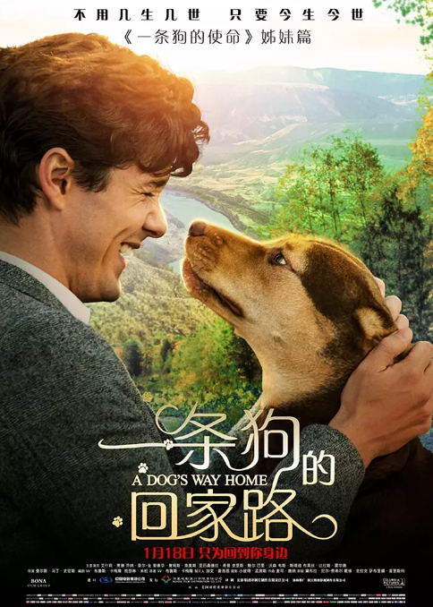 [一条狗的回家路][A][Dogs][Way][Home][2019][BD720P][X264][AAC][English&Mandarin][CHS-ENG]