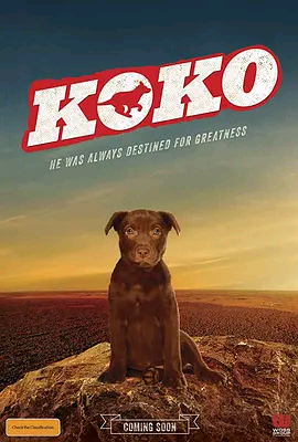 Koko:红犬历险记HD英语中英双字