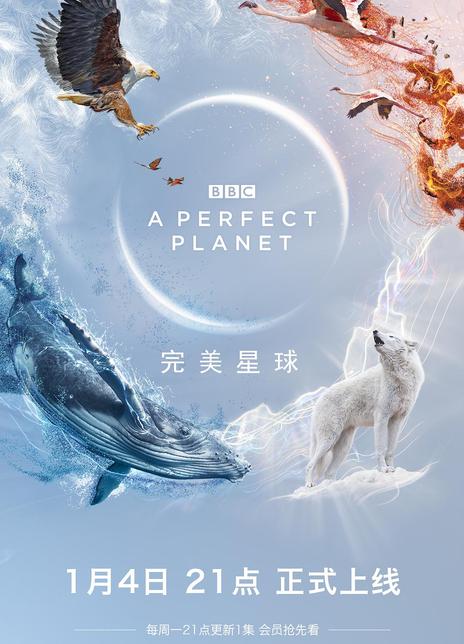 2021BBC纪录《完美星球》WEB1080P 国语中字