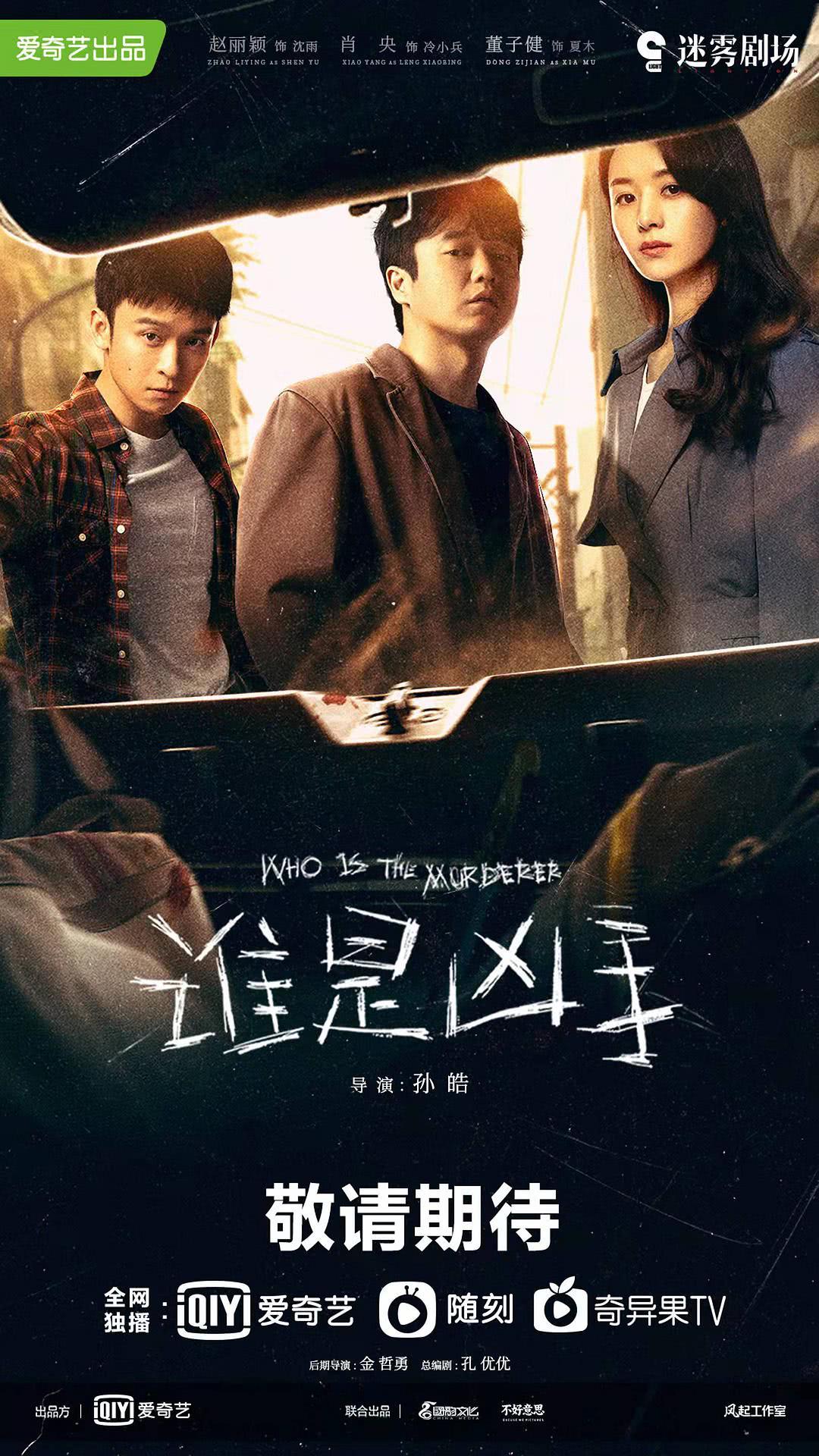 2021赵丽颖悬疑剧《谁是凶手/未知罪》全集 HD1080P 高清迅雷下载