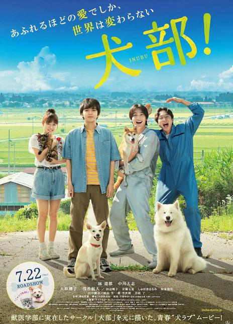 2021日本剧情《犬部！》HD720P.日语中字